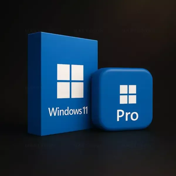 Windows 11 Pro